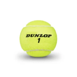 YONEX Store -YONEX Store DT19 601349 ATPCHAMPIONSHIPEXTRADUTY BALL 02