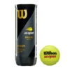 Wilson US Open Extra Duty Tennis Balls -YONEX Store US Open Official Extra Duty 3ball Can Front LOGO 5135b62b bfd1 4074 9182 f51b33156923