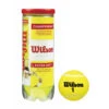 Wilson Championship Extra Duty Tennis Balls -YONEX Store WILSONChampionshipBalls